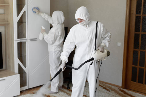 Affordable Infectious Disease Decontamination solutions in Burlington, IN